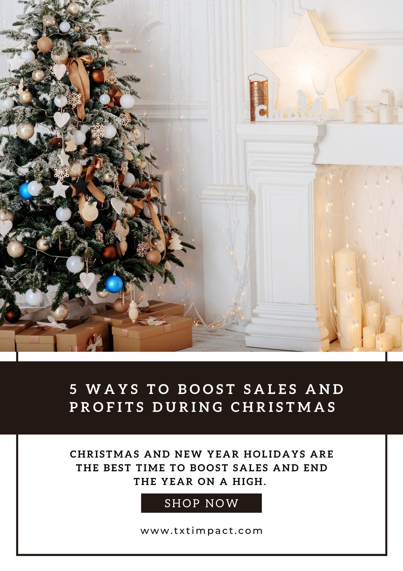 5 Ways to Boost Sales and Profits During Christmas      .jpg